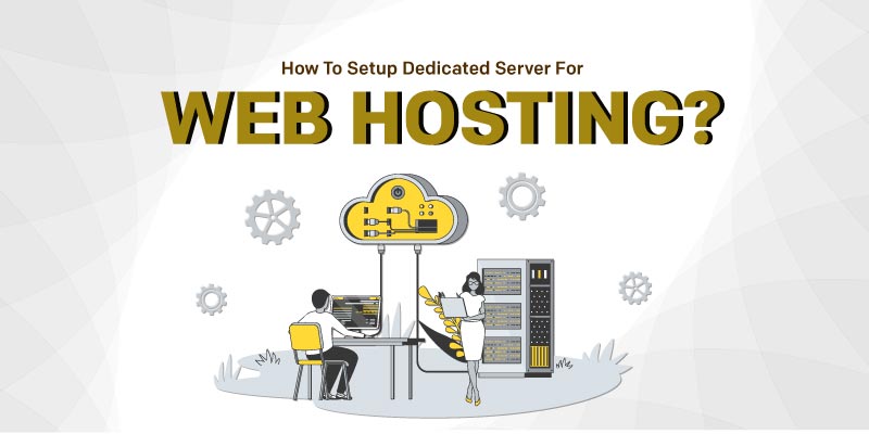 Server & Hosting
